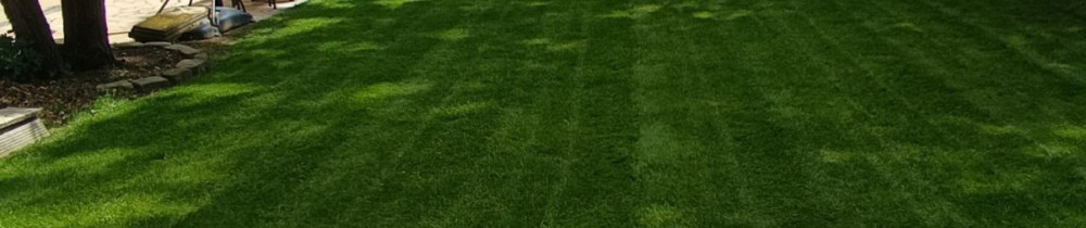 Loick C. (L.C Jardin et Services)