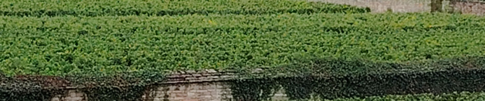 Tiffanie G. (Service A Dom'21)