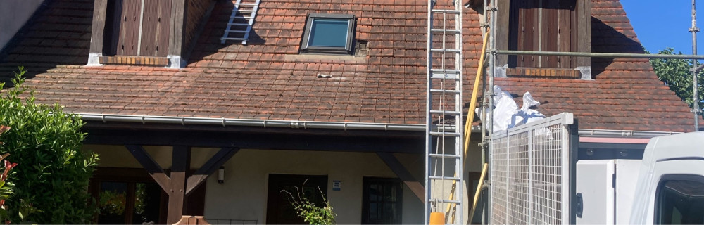 David P. (pires, couverture)