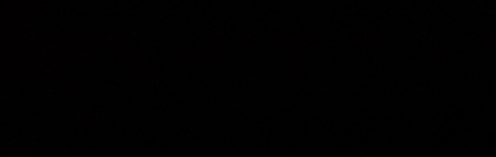 Raphael P. (Prudhomme Raphaël)