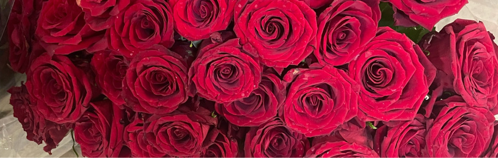 Josephâ Nahitantsoa T.