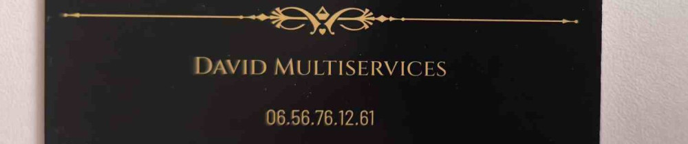 David A. (David Multiservice)