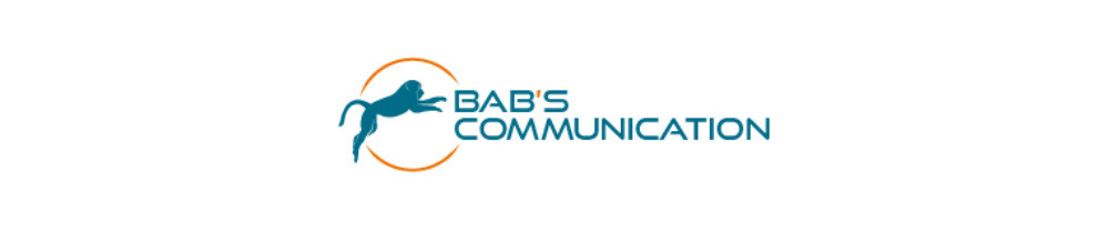 Naïm S. (Babscommunication)