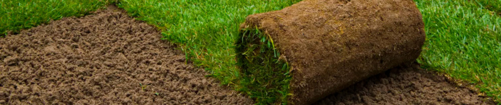 Mickael S. (votre jardin notre passion...