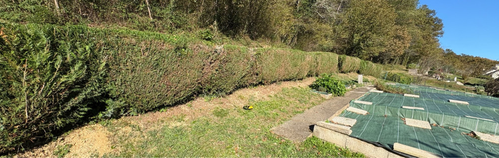 Lucas C. (Jardinier paysagiste)