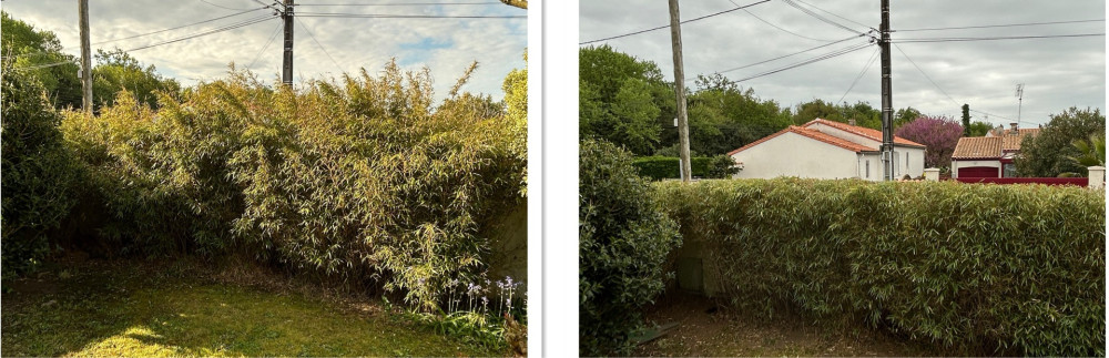 Jordan M. (JM MULTI SERVICES 17)