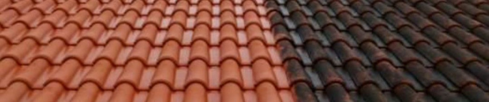 Dominique R. (RODIER)