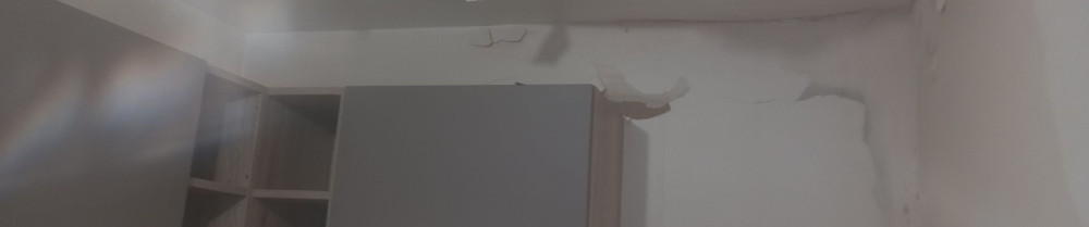 David P. (Pires Landeiro)