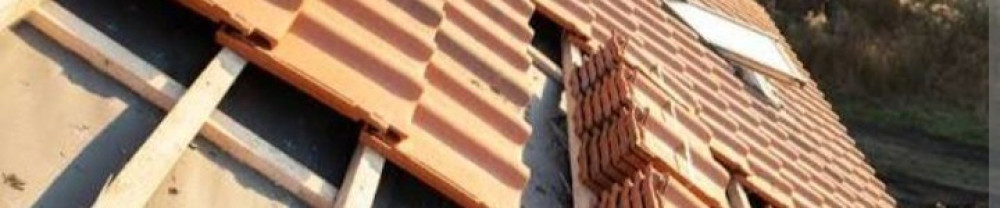 Nicolas D.
