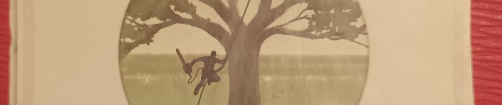 Damien K. (Bretagne paysage)