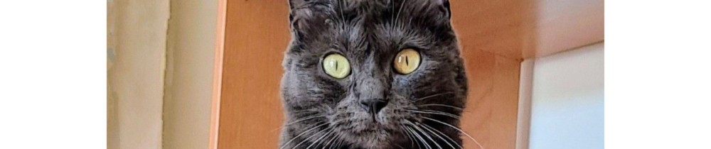 Marlène Léa Louise S.