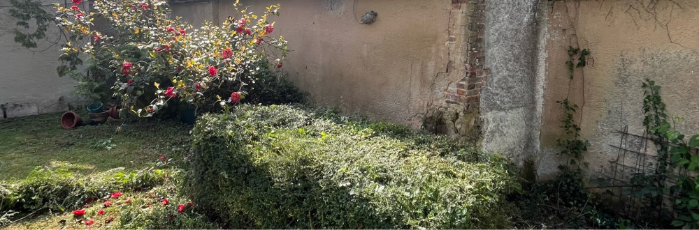 Shana P. (Pillitteri)