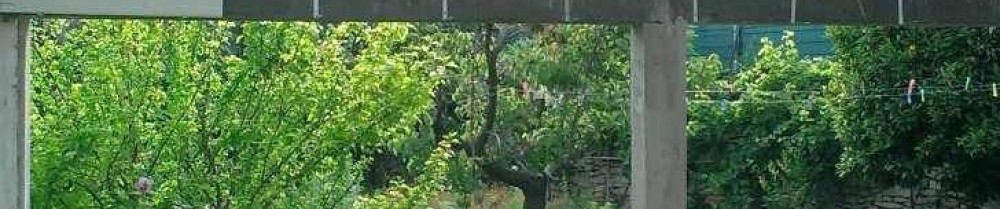 Mickael V. (Mickael Vazquez)