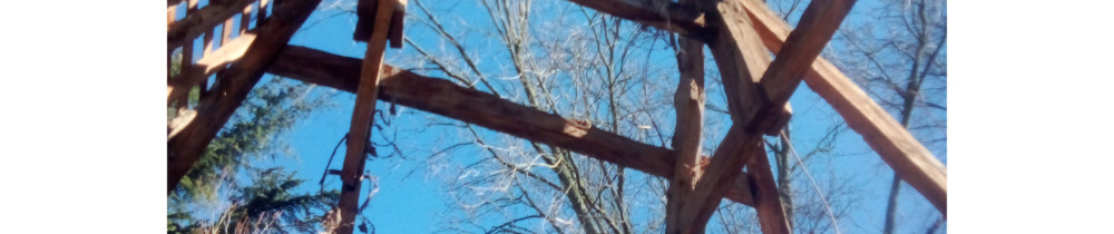 Damien L. (lemoineD construction bois)