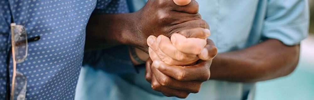 Aline N. (Panerceclean)