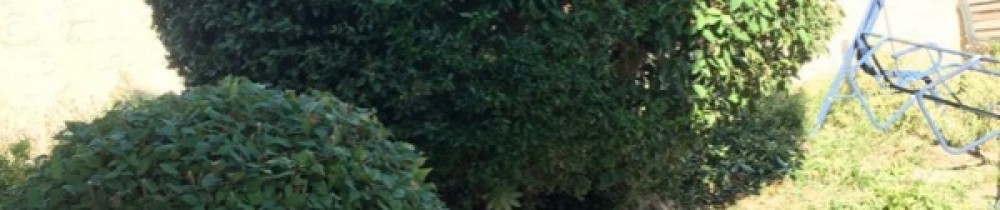 Rudy C. (P.n.r espace vert)