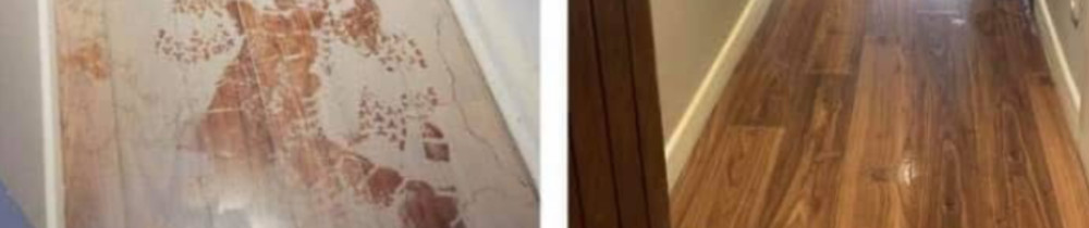 Kevin S. (Kevin sette)