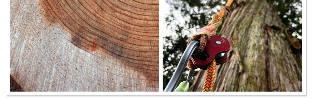 Alexandre A. (ALEX ELAGAGE)