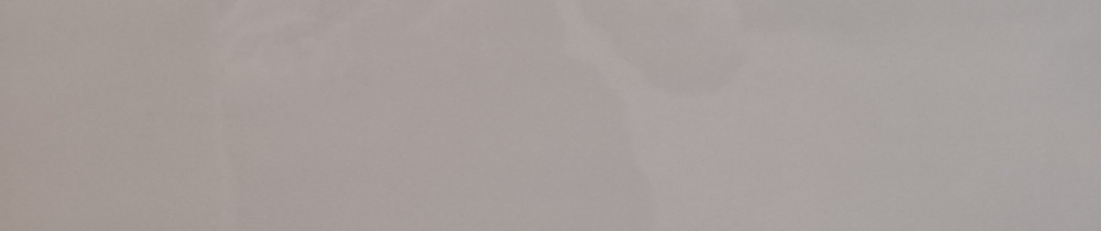 Willy T. (Texier multiservices)