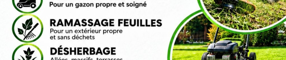 Corentin S. (Csmultiservices)