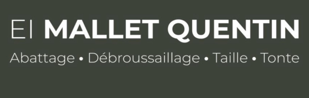 Quentin M. (EI MALLET QUENTIN)