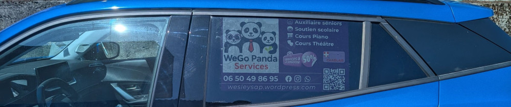 Wesley G. (WeGo Panda Services)