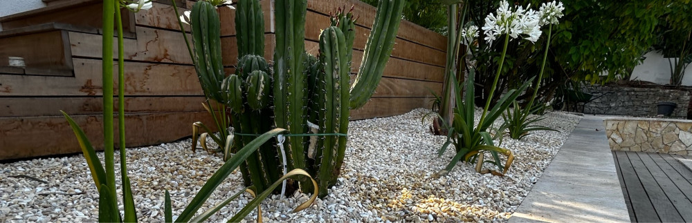 Noe P. (Les jardins de Noé)