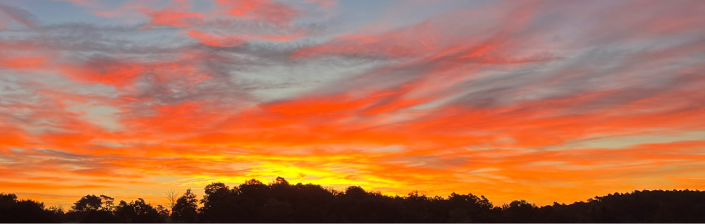 David B. (Davidmultiservices)