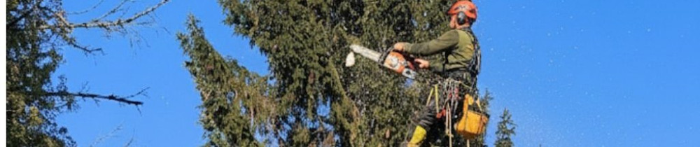 Franck S. (Travaux Multiservices)