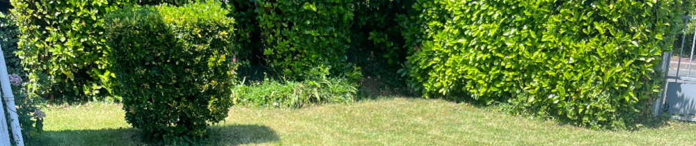 Brossard R. (BROSSARD ROMAIN)