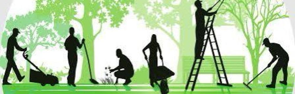 Tom C. (Charrais Multiservices)