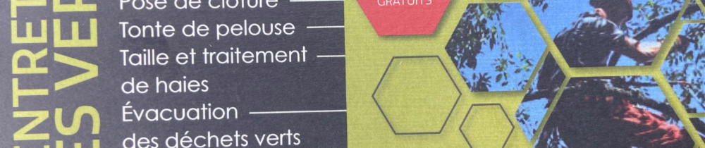 Nicodeme-Jimmy L. (NL entreprise)