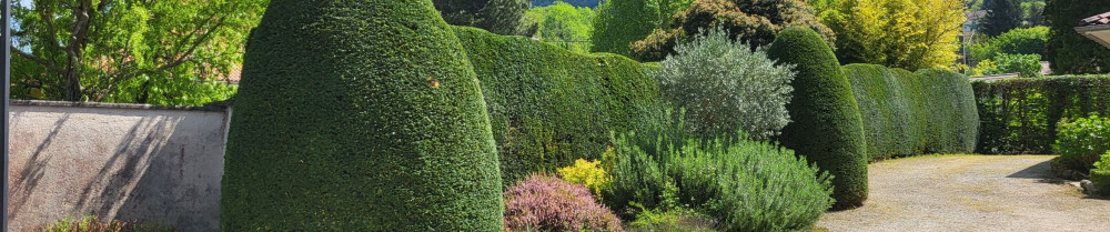 Julien G. (giroud paysage)