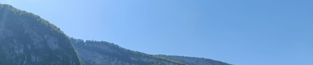 Voisin L.