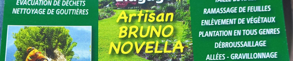 Bruno N. (novella)