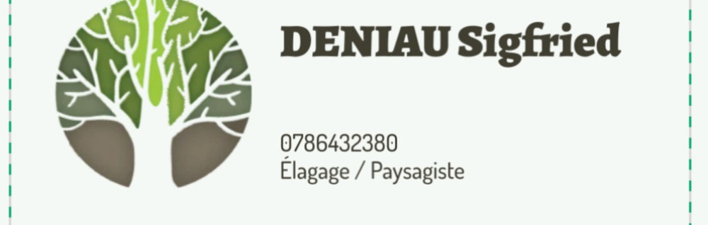 Sigfried D. (Deniau Entreprise)