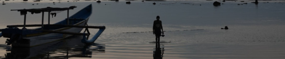 Aurore T. (Aurore Thomas)