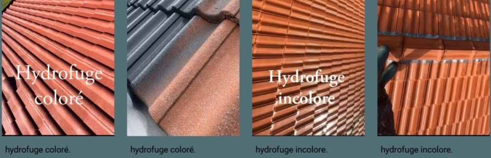 Anthonie S. (Schmitts'bat)