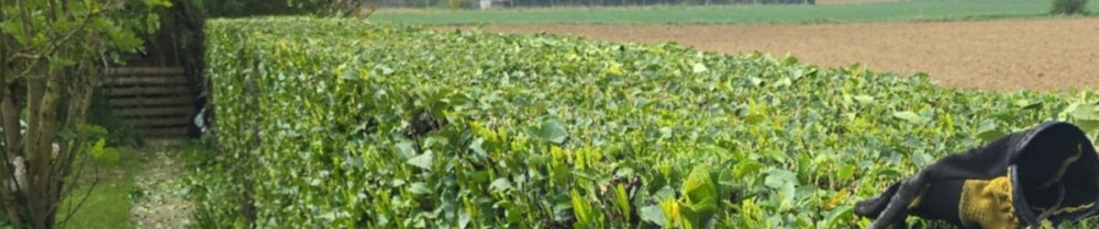 Charles S. (CS entretien)