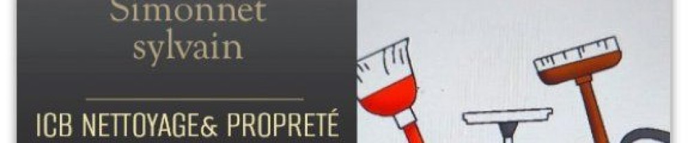 Sylvain S. (ICB Nettoyage)