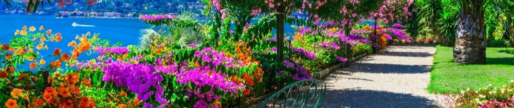 Konan Stanley Parfait Y.