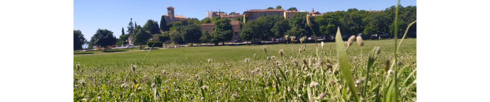 Romu S. (Les jardins de Cabris)