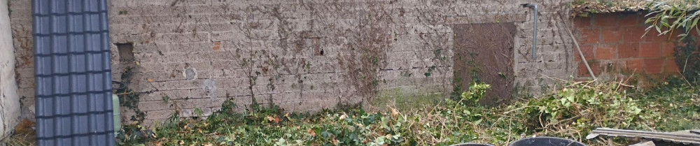 Arnaud P. (AP Paysagiste)