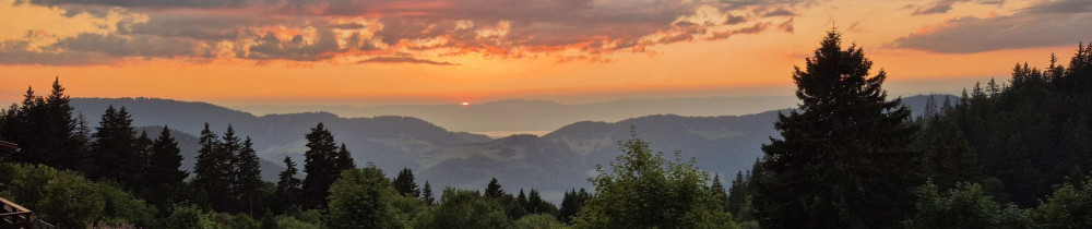 Philippe T. (Ent Philippe Testoris)