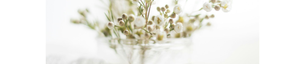 Sophie D. (Sophie.Morphose)