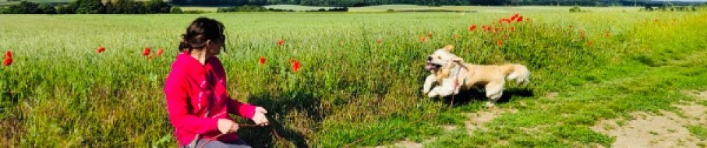 Amandine T. (Un Chien Bienheureux)