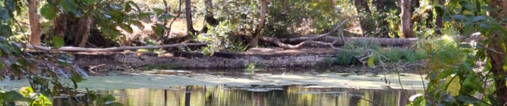 Séverine P. (ELL'RAMONAGE)