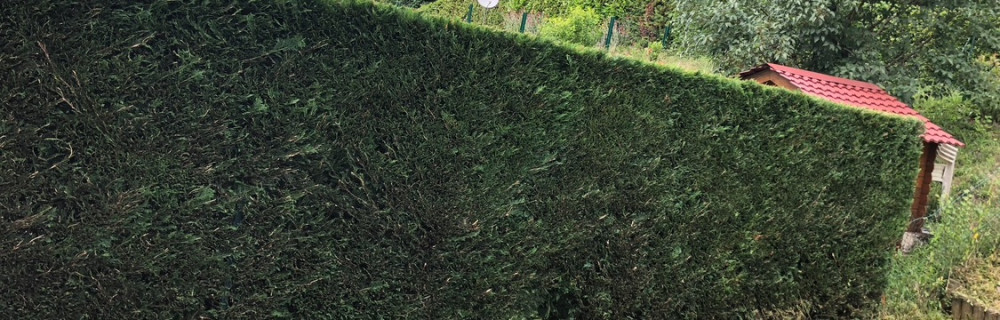 Jardinier P. (Espace vert)