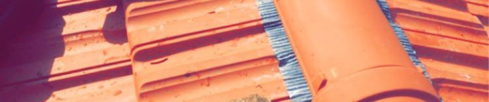 Michel B. (au petit compagnon)