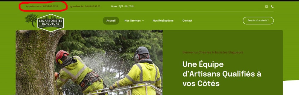 Windy Z. (profesionnel)